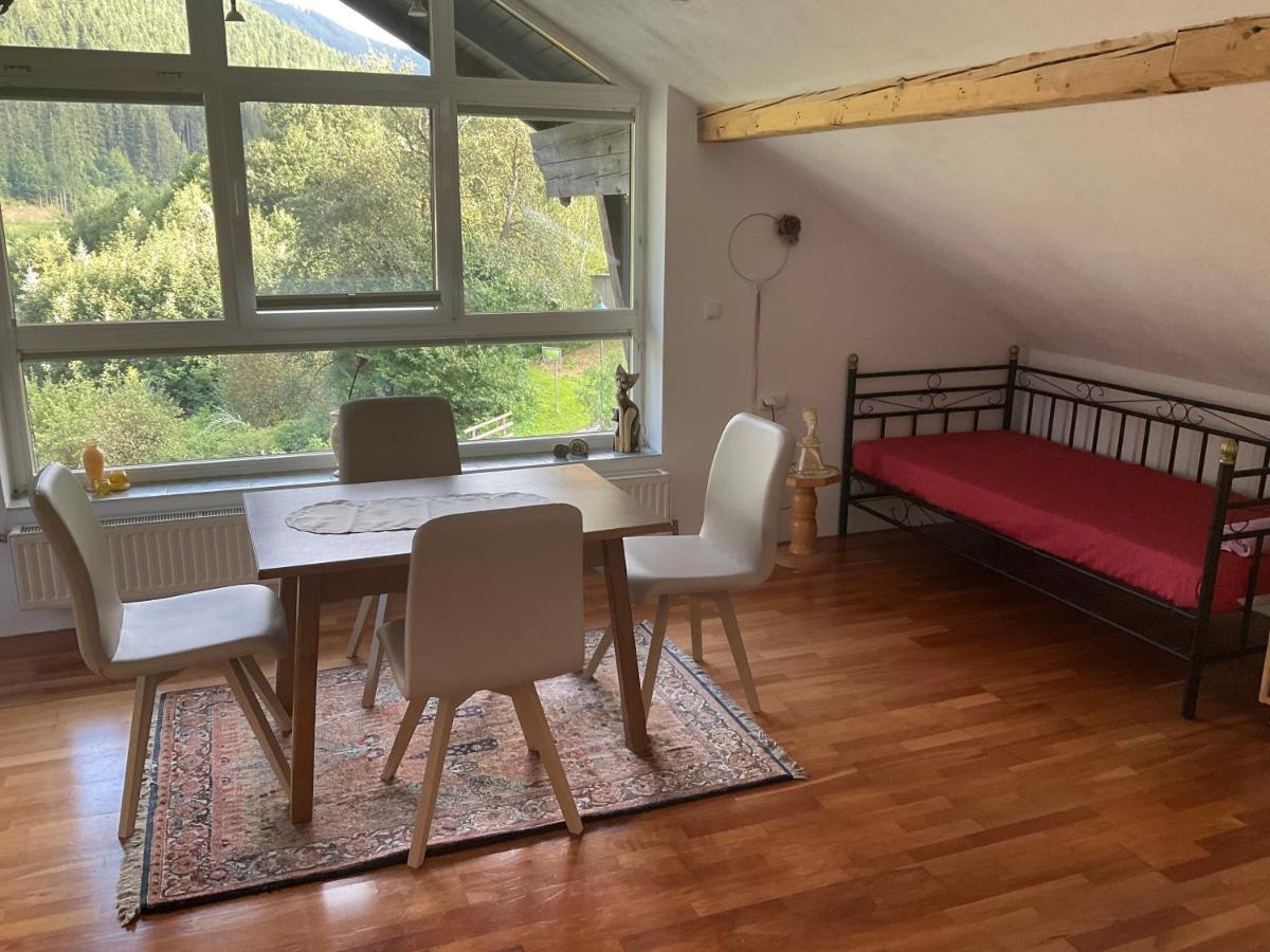 Ferienwohnung Dallinger Radmer an der Stube Exterior photo
